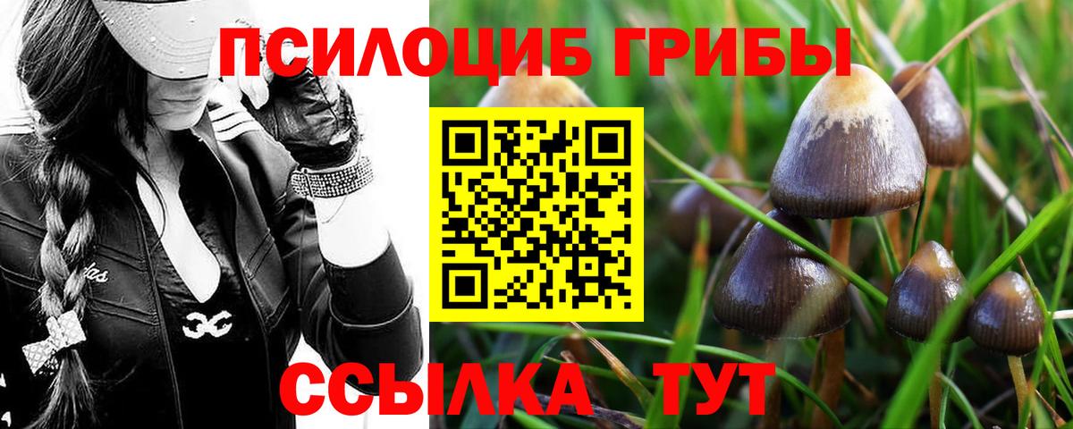 Галлюциногенные грибы Psilocybine cubensis  Вход с VPN  Буйнакск  Галлюциногенные грибы ЛСД 